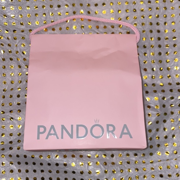 Pandora Charm  Bracelet - Picture 9 of 9